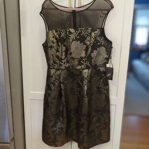 NWT Adrianna Papell Black and Gold Dress